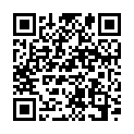 QR PARI FILTEREI F. BOY TYP38