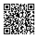 QR SONNENTOR KAMILLEN TEE