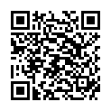 QR DIXA MELISSAE FOLIUM CONC