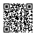 QR SONNENTOR GUTEN MORGEN TEE