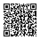 QR Medela Milchflasche 250мл 2 штуки bedruckt mit Deckel