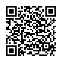 QR APLESS APFELESSIG