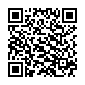 QR HOLLE MUEESLI MIT BEEREN BIO