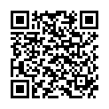 QR НовоПен Эхо инъекционное устройство синее