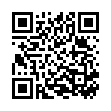 QR Spagyrik Silicea 500мл