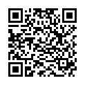 QR Vepool Brillant Mobelpflege 360