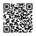 QR Spagyrik Zincum Chloratum 500мл