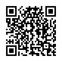 QR PHYTOMED SCH&Uuml;SSLER № 16 Литий хлоратовый Dil D12 500 мл