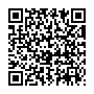 QR Dixa Lindenblüten Pheur Bio Ganz Origin 500g