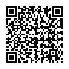 QR Phytomed Arnika Massageöl Flasche 100ml