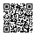 QR Herba Rundbürste ?20/38mm Wildschweinbor Buche Fs