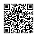 QR Herba Haarbürste M Holzstift Klein Buchenholz FSC