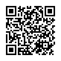 QR SN Zincum Metallicum Glob XMK 1 г