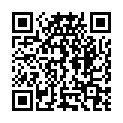 QR Hipp Sondennahrung Rind Zucchini Gemue (neu) 0.5 L