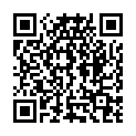 QR Dixa Limonenysop Bio Geschnit Py Beutel M Box 20 Stück