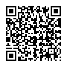QR SN Zincum Metallicum Glob 30 K 1 г