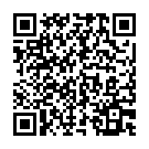 QR Duracell Batt Cr2032 3v Lithium B2 XL Blister 2 Stück