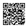 QR NAVINA Anal Tampon Large