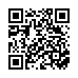 QR BRAVA Stomabandage M 78-90cm