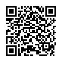 QR HEINE Ladebatterien 3.5V zu Ladegriff Beta