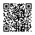 QR BORT VARIO Rückenband Pel L grau