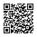 QR VT IMPULS AD KKL2 I n/l gFs caramel