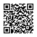 QR VT IMPULS AD KKL2 III n/l gFs caramel