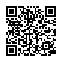 QR VT IMPULS AD KKL2 III p/l gFs caramel