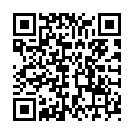 QR VT IMPULS AD KKL2 II n/l gFs schwarz