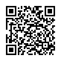 QR VT IMPULS AD KKL2 VI p/s gFs schwarz