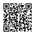 QR VT IMPULS AD KKL2 I p/l gFs schwarz