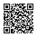 QR VT IMPULS AD KKL3 II n/l gFs caramel