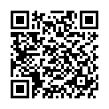 QR VT IMPULS AD KKL3 VI n/l gFs caramel