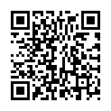 QR VT IMPULS AD KKL3 I n/l gFs schwarz