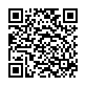 QR VT IMPULS AD KKL3 II n/l gFs schwarz