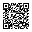 QR VT IMPULS AD KKL3 IV p/s gFs schwarz