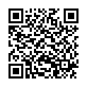 QR GIBAUD CHALEUR Nierenwärmer M 25cm anthrazit