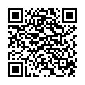 QR DAMASCENA Aromavernebler JOY m Essenzmi Happin Bio