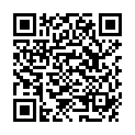 QR BORT ManuStabilPro XL offene Form links grau