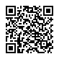 QR CLEAN SPACE Winter Pine Candle