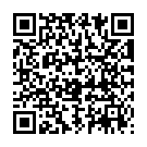 QR AROMASAN schwarze Birke Äth/Öl