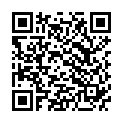 QR BORT ImmoXpress 0° 50cm schwarz