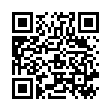 QR SPAGYROS SPAGYR Betula pendula