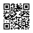 QR FURTERER Style Haarschaum