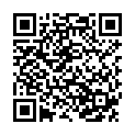 QR HERBA Pinzette schräg Inox hellgrau glossy