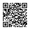 QR HERBA Pinzette schräg Inox Farbspiel