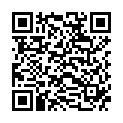 QR RAUSCH Шампунь с кофеином и женьшенем (n)