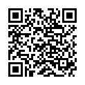 QR HA-RA Reinigungstuch Nano-Igel