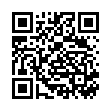 QR LE BF Bürste aus Holz