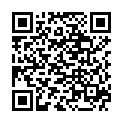 QR Вставка для груди FRAUPOW 17 мм.